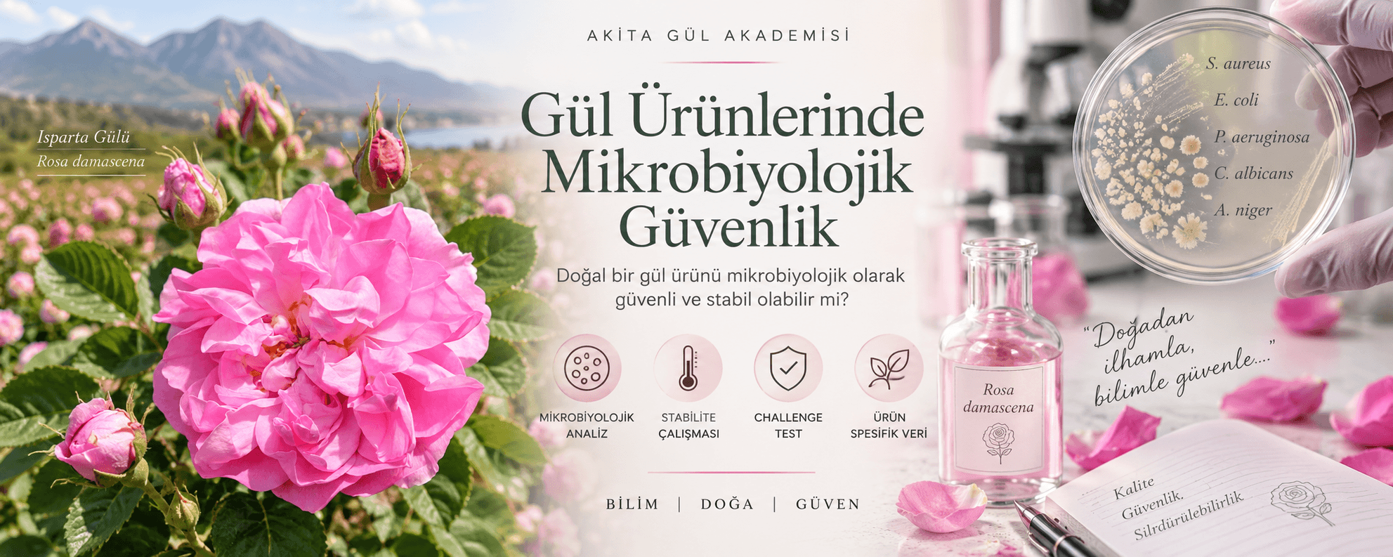 Gül Ürünlerinde Mikrobiyolojik Güvenlik