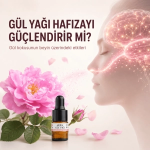 Gül Yağı Hafızayı Güçlend...