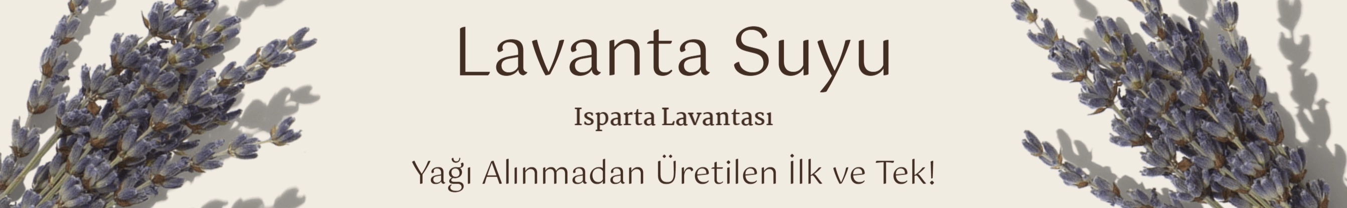 Lavanta Suyu