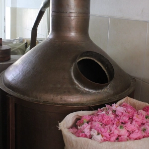 Why Rose Oil Is Used for ...