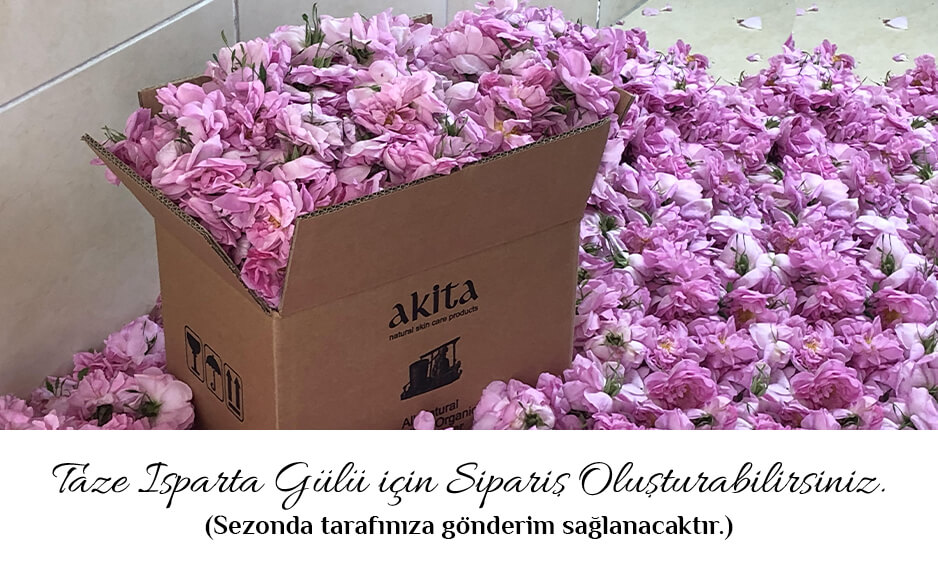 Taze Gül Siparişi
