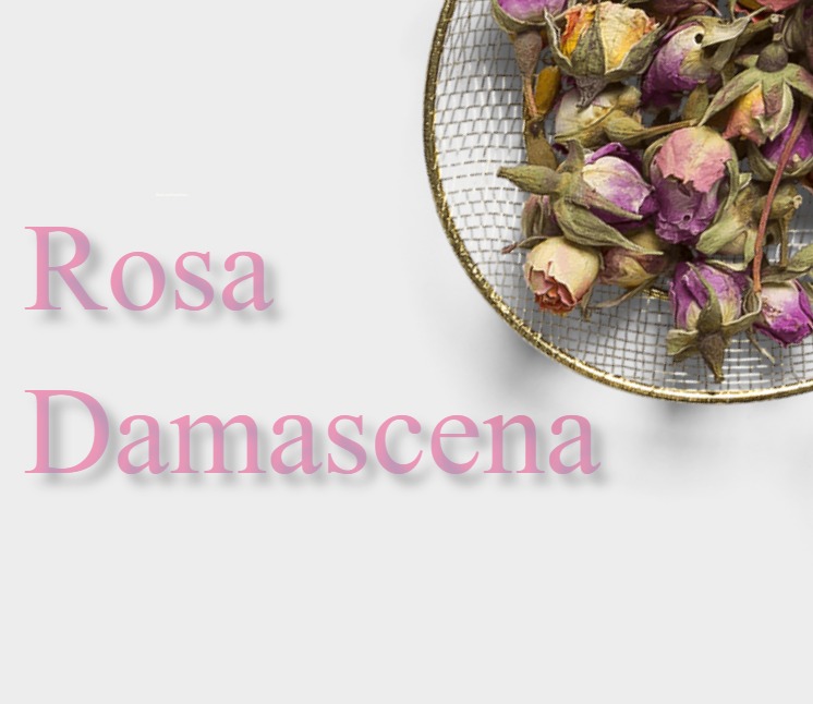 Akita Doğal Ürünler