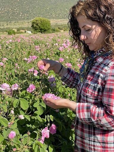 The Mystery of Rosa Damascena Oil